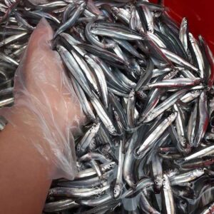 Alternative view of Cá cơm than