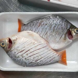 Alternative view of Cá he