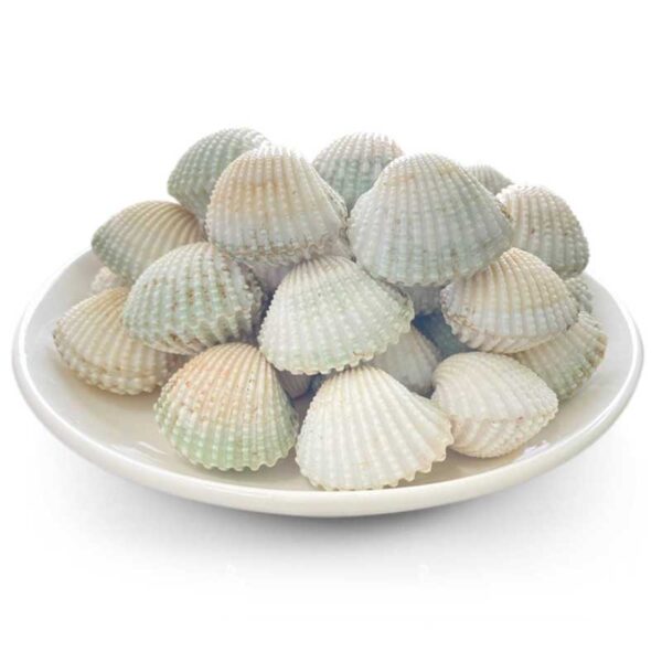 Sò huyết