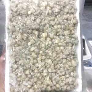 Alternative view of Thịt hến