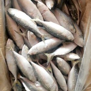 Alternative view of Cá bạc má