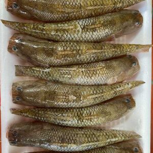 Alternative view of Cá bống cát