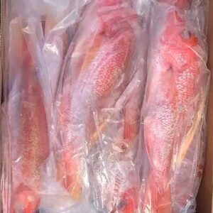 Alternative view of Cá hồng