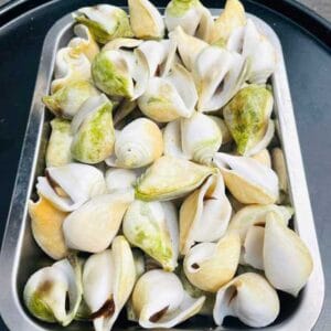 Alternative view of Ốc nhảy