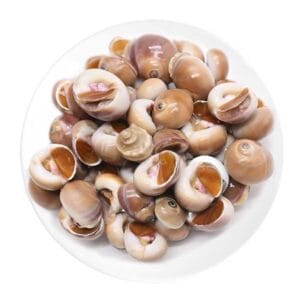 Ốc mỡ
